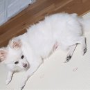 (주)동실 이미지