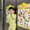 유아 학습 필수템! 요미몬 사운드차트 육지동물 & 과일·채소 차트 후기