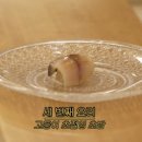 대성초밥 - 중구 충장대로5번길 8 | 대성초밥