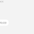 Otter(오터) 이미지