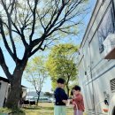 영우네 농어촌 관광농원 | [충남•공주] 캠핑 첫 도전, 영우네농어촌관광농원에서 보낸 우리 가족 이야기