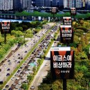 (주)더네이비플레이트 | 밤켈 한화이글스 피크닉 매트 &amp; 그라운드체어 밤켈존블챌 내돈내산 시리즈🦅
