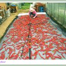 희나리농장 이미지