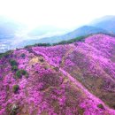 제716차 인천 강화 "고려산 (436m)" 진달래꽃 축제산행 ＜2019. 4. 20＞ 이미지