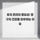 유치 관리의 중요성: 영구치 건강을 좌우하는 이유