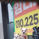 광남2동-4 이미지