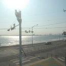 넓은바다집 이미지