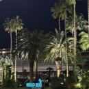 UR(서귀포시)-[태위로]-하-9 | 겨울 제주여행 (day1-2) 남원에서 서귀포까지