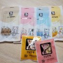 [2021 킨텍스 서울캣쇼 후기 /캣쇼백 당첨 후기] 1,꼬꼬집사 처음으로 고양이박람회 가다!