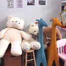 시간상자사진관 | 산척동 동탄셀프사진관 반려견과 기념사진 찍기 I 정원 셀프사진관 동탄호수공원 후기