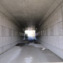 과학남로 이미지