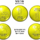 당구의정석
