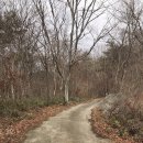 고봉국제무역 | 광양 백운산 상고대 산행