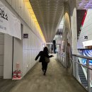 2024 스포엑스에서 센티 신상과 더블케이 다이빙제품 신상 파격할인까지