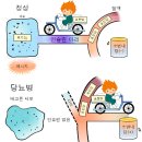 당뇨합병증 및 혈당 줄이는 방법 이미지