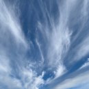 지금여기 이미지