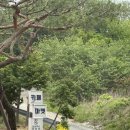 67 | [전남 보성 여행] 보성하면 녹차밭 아닙니까?! 뷰도 아이스크림도 다 초록초록 보성 '대한다원'★