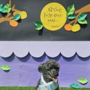 멍노리터 이미지