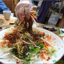 꿀참나무 이미지