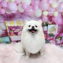 알콩이달콩이