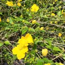 대주농장3 이미지