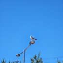 세븐일레븐 을왕해변점 이미지