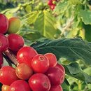 형기농장 이미지