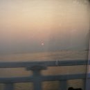 태호농장 이미지