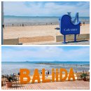 구봉도 카페 <Cafe mer(카페 메르)> vs <BALiiDA(발리다)> 내돈내산 비교 후기 & 추천: 오션뷰, 음료...