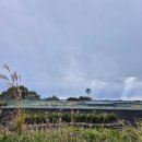 JW marriott jeju resort & spa 이미지
