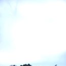 파이팅노래연습장 | [전북, 익산] (실시간)퓨처스리그 KT위즈 익산야구장 관람후기