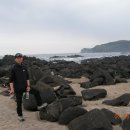 제주 올레길 10코스 이미지