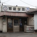 밤골랜드 이미지