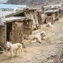 종만농장 이미지