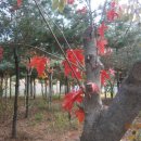 프라자약국 이미지