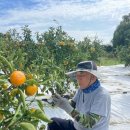 동산농장(2) 이미지