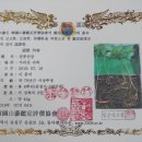 산삼이네