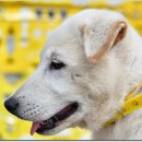 광탄한의원 이미지