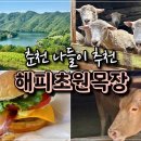 남풍목장 네이버블로그