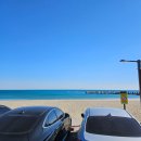 파도의 열창 | 우리를 순수한 아이로 되돌려놓는 무서움을 좋아한다.