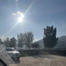 UR(경주시)-[단석로]-하-1 | 대형견과 경주🖤