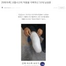 경기 의수족 보조기 네이버블로그