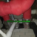 수원-1251 이미지