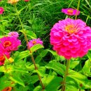 현암3길 이미지