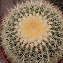 삼인농장 이미지