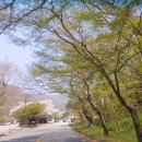 백양사 먹거리타운 이미지