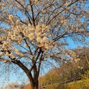 한국장의산업 | 하루한짠 9기 경제 챌린지 규칙