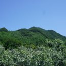 김천시대덕면연화보건진료소 Daum카페