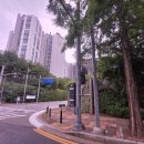 북인천영창피아노 | [판교 피아노 수거] 분당 판교동 가정집에서 진행된 영창 업라이트 피아노 2인 1조 안전 수거 후기