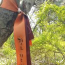 제주불교성지 순례길 절로 가는길 - 지계의 길 이미지